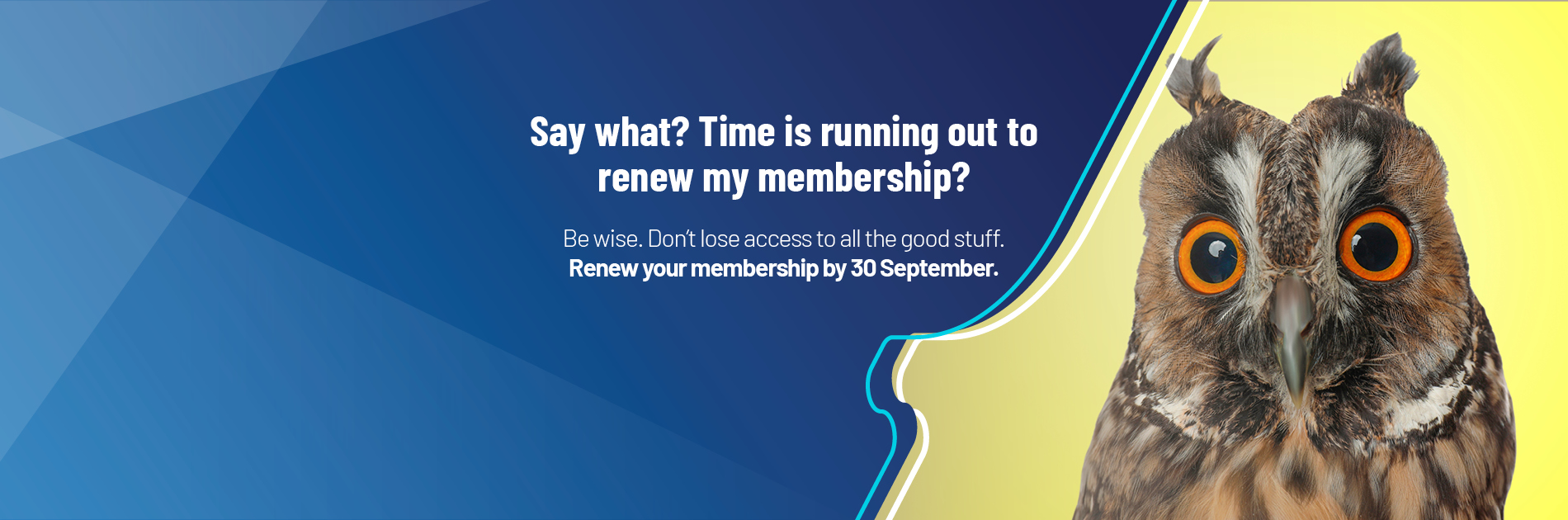 LSWA Renew by 30 September 2025