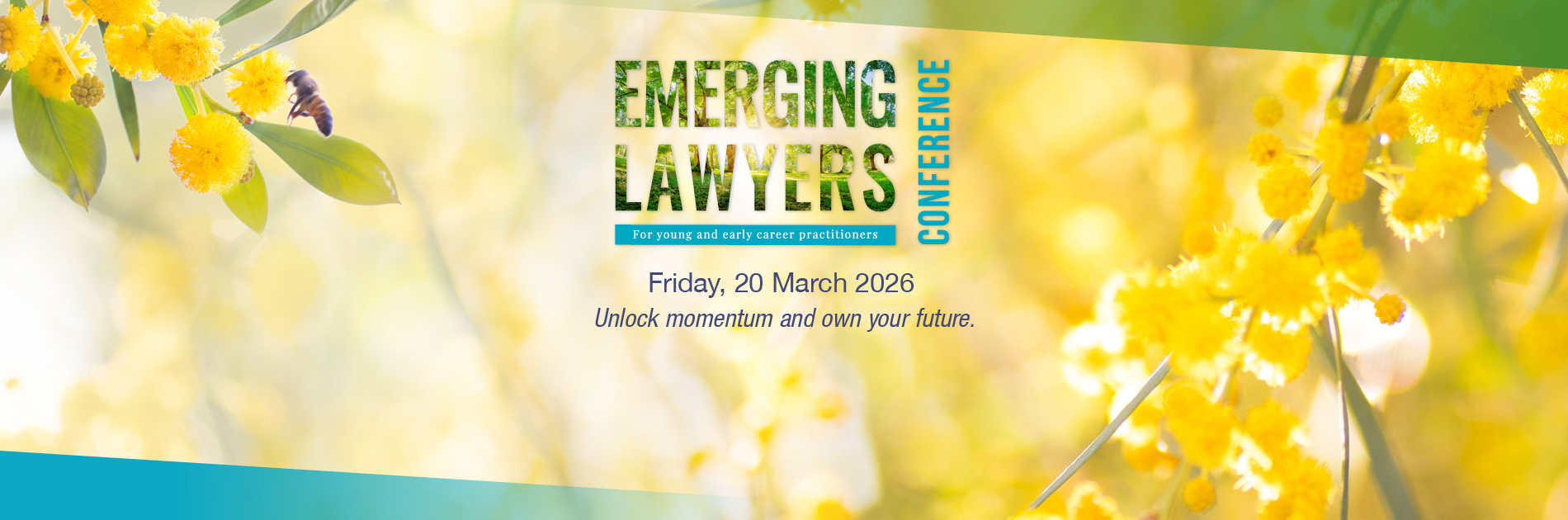 Emerging Lawyers Conference